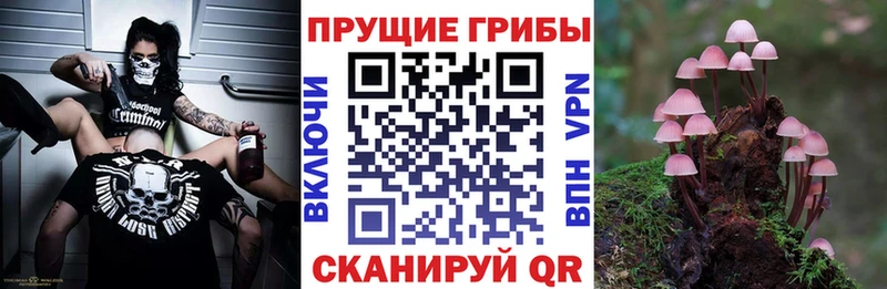 Галлюциногенные грибы ЛСД сколько стоит Красноперекопск